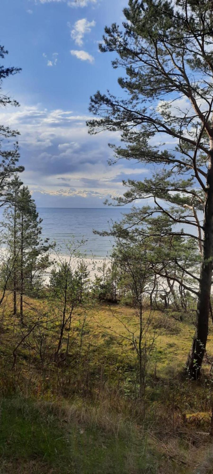 Pokoje Goscinne Nord Krynica Morska Εξωτερικό φωτογραφία