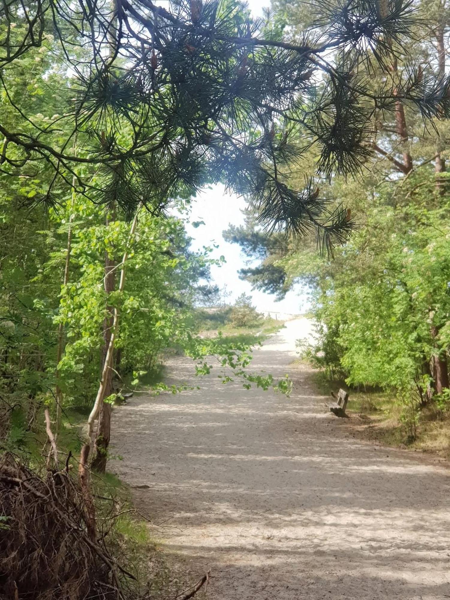 Pokoje Goscinne Nord Krynica Morska Εξωτερικό φωτογραφία
